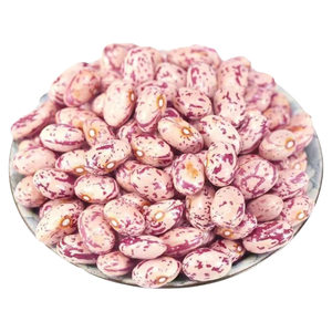 
New arrival Yunnan bird egg bean milk flower kidney bean safflower peacock bean hibiscus bean whole grain beans high quality bulk
