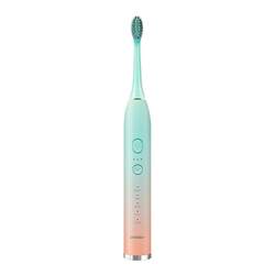 Sonic Rechargeable All-Electric Toothbrush