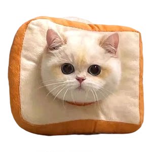 
Kitten Elizabethan collar, adjustable soft sterilization collar, eatable cat and dog collar, anti-licking and biting artifact