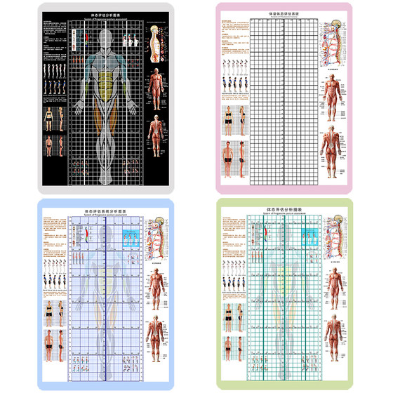 体态评估图表健身房体测网格瑜伽馆私教中医脊柱矫正背景墙画装饰