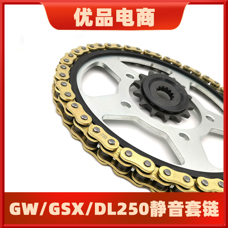 适用骊驰GW250 GSX250R DL250挂胶静音牙盘链轮套链征和油封链条