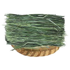 
Dry Timothy Grass Grass in Gansu North Grass Grass section, tender grass, micro-spike teeth grinding pet rabbit chinchilla rabbit rabbit hay
