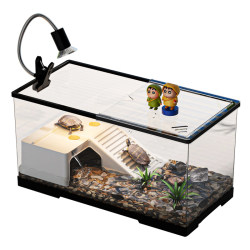 New home amphibious turtle tank with lid and landscaping