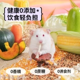 Кано Хомять пища Главная пища и пищевая тыква питание питания