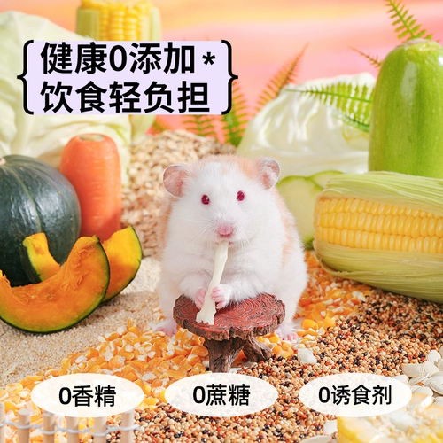 Кано Хомять пища Главная пища и пищевая тыква питание питания