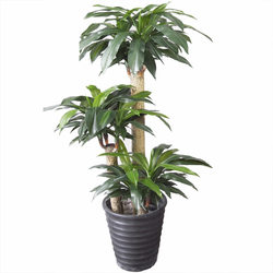 Simulated plant tree high imitation Brazilian wood office decoration