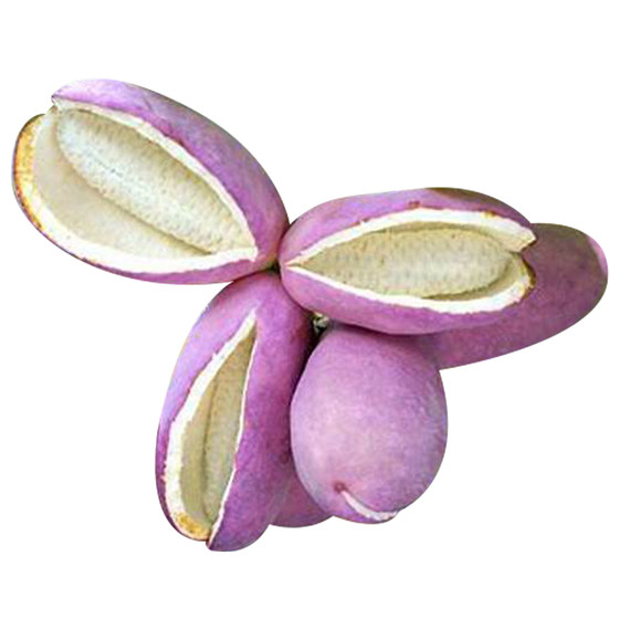 
August melon saplings, fruit saplings, climbing vines, leaves and flowers, edible vine plantings, August fried saplings