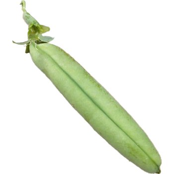 Sweet and crispy green pea four seasons Taiwan longevity beans
