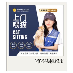 
Door-to-door cat feeding in Beijing and Shanghai, cute pets at home, pet feeding and foster care, poop scooping, open all year round