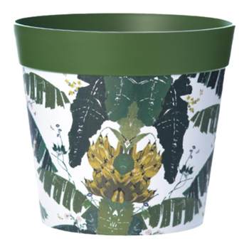 Huaxin Jungle Basin Creative Flower Pot Orchid Basin Thickening Durable Hotchyl Polying Basin Inside Home Home Decoration Beauty
