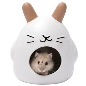 Hamgrine ceramic nest avoiding the house in summer, golden silk bear sleeping nest to cool the summer dwarf guinea pig small house sleeping ice house
