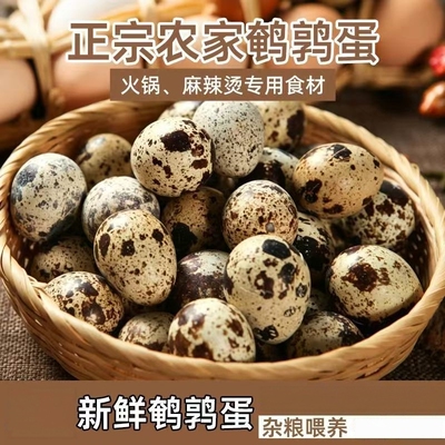 2026年8月22日更新【万能白菜价】的图片 第17张