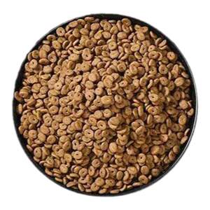 
Full-price nutritional cat food British short weight gain blue cat universal weight gain stage kitten adult cat hair staple food 500g