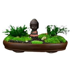 Moss Micro Landscape DIY Hands-On Fun Asparagus Bamboo Ornaments