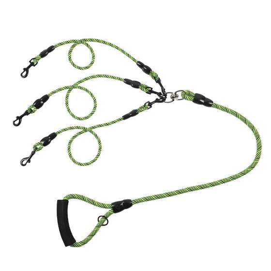 One tow and three leashes for multiple dogs. Family walking the dog at the same time to prevent loss of large dogs, medium-sized dogs, dog leashes, Alaska
