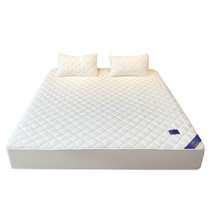 
Hilton Hotel Class A pure cotton single piece antibacterial quilted anti-dust anti-slip sheet Simmons mattress protector