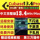 Cubase13/12/11pro远程安装商业版正版完整版编曲录音混音mac/win