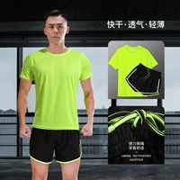 Летний комплект, спортивные быстросохнущие штаны, футболка для тренировок, для бега