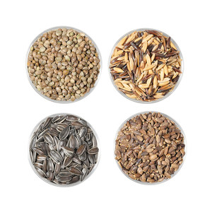 
It is suitable for parrot snacks, pockmarks, tiger skin, peony, black phoenix egg yolk grains, interactive special oil, hemp seeds, hemp kernels
