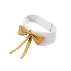 Cat gentleman bow tie pet cute dress