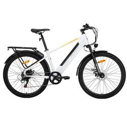 Permanently removable battery electric assist mountain bike