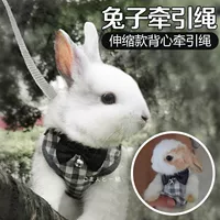 Кролик, регулируемое средство от укусов для выхода на улицу, домашний питомец