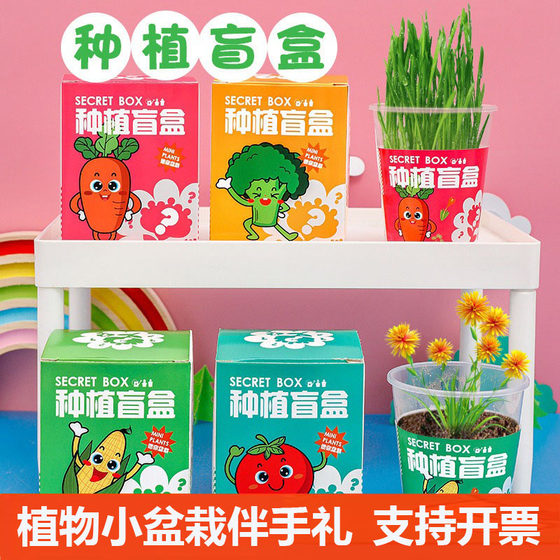 创意儿童迷你盆栽植物盲盒小摆件幼儿园全班毕业礼物生日礼品好物