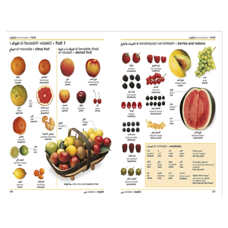 牛津葡英双语词典黑白图片The Oxford-Duden Pictorial Portuguese and English Dictionary