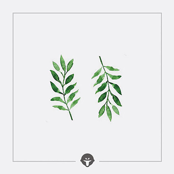 다시 변경 여성을위한 새싹 원래 식물 문신 스티커 방수 오래 지속되는 시뮬레이션 색상 나무 잎 쇄골 색상