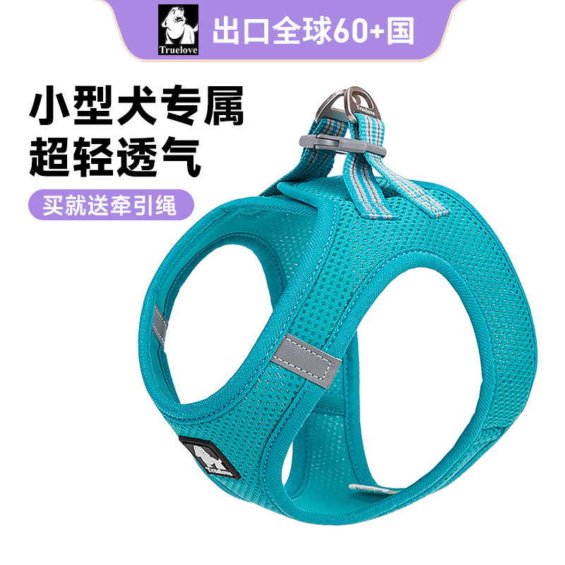 献给青铜铲屎官｜500买的狗却花了5000配齐装备，新手养宠需要哪些刚需品，胡子带你一起选～