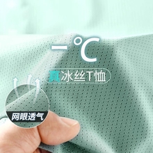 Ледяная футболка мужская короткорукавная летняя тонкая свободная сухая полурукава 2024 новая молодежная модная сетчатая блузка