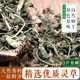 灵草 香灵草 灵香草 火锅卤料串串香麻辣烫香辛料 卤肉炖菜料