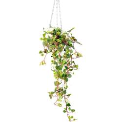 Begonia hanging basket flower plant simulation plastic