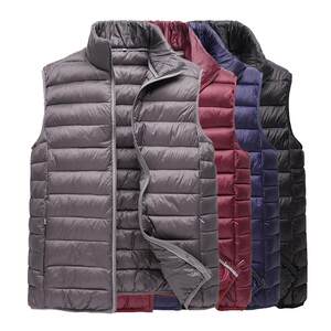 Autumn and winter young men's horse cape down cotton vest men, light vest, shoulder, shoulder, plus large size winter jacket