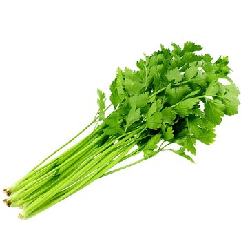 Four seasons fruit celery seedlings survive with soil bags