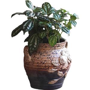 Hanging wall hanging flower pot ceramic green dill suspension European -style creative balcony hanging decorative flower ware