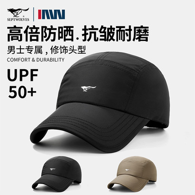 2026年4月9日更新【万能白菜价】的图片 第3张