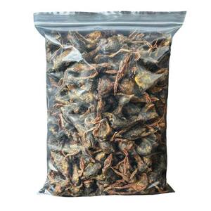 Cat snacks, quail freeze-dried kitten snacks, hair, cheeks, cat nutrition, weight gain, calcium, teeth, and jerky raw bones
