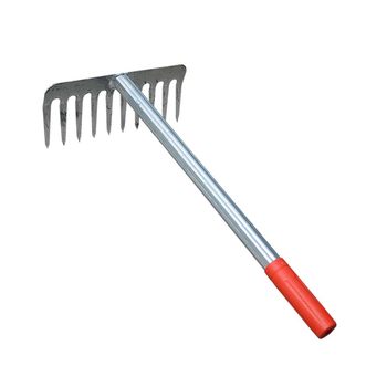 
Rake the sea, dig clams, catch oysters on the beach and catch crabs