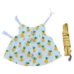 Pet rabbit clothes, rabbit cute skirt and leash