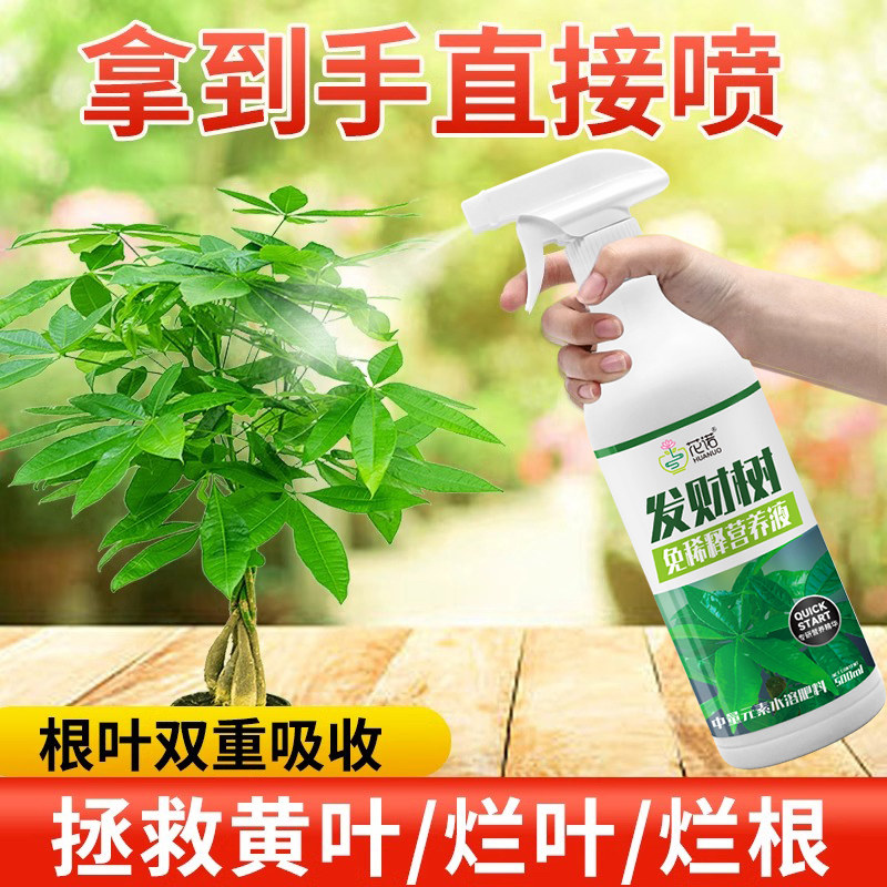 ������ר��Ӫ��Һ��ϡ������������ֲ��ʩ�ʻ�Ҷ��Ҷ�ø�ר�÷��� 6.12Ԫ