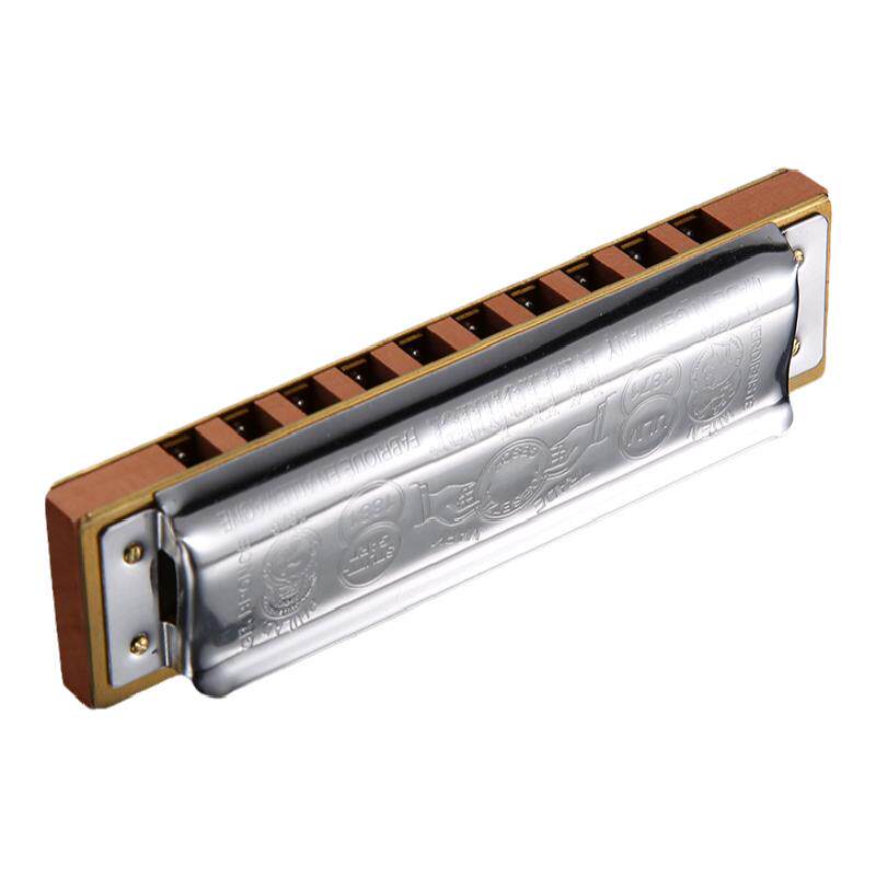 Harmonica diatonique Blues Harmonica clé de Paddy C 10 trous 20 tons 008K harpe bleue pour adultes professionnels étudiants 18 Harmonica diatonique Blues Harmonica clé de Paddy C 10 trous 20 tons 008K harpe bleue pour adultes professionnels étudiants 18