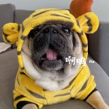 Qingcang Pet Dog, Tiger Tiger, заправка, свитер дубага, маленькая одежда тигра, бархатный теплый свитер.