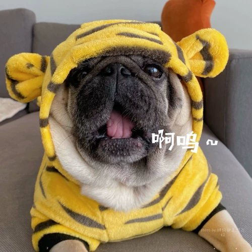 Qingcang Pet Dog, Tiger Tiger, заправка, свитер дубага, маленькая одежда тигра, бархатный теплый свитер.