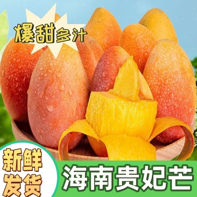 2026年4月12日更新【万能白菜价】的图片 第24张