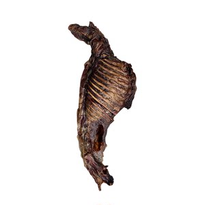 Dog snacks, teeth rods homemade wind dry lamb lamb legs small pet large dog training reward dog bone
