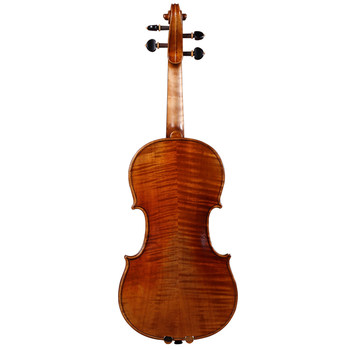 Teaching professional school European spruce violin