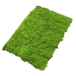 Butterfly High Simulation Moss Artificial Turf Green Plant Decoration