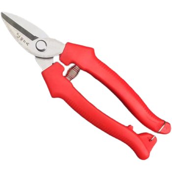 Guangxi thickened and durable tangerine fruit pruning shears