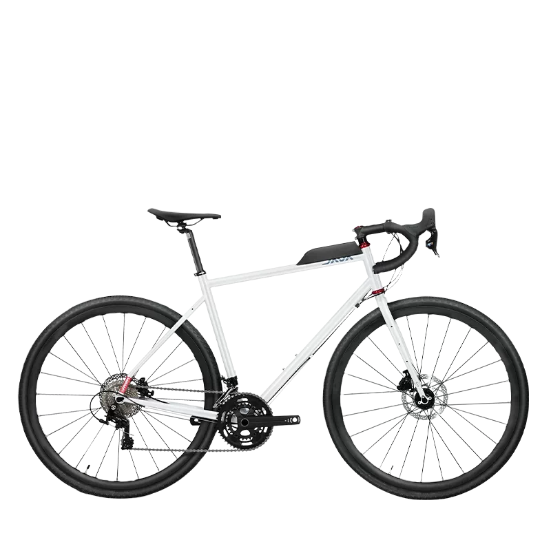 【RITAO CHAN公式アカウント04】◆端渓硯（鷓鴣斑・蕉葉白／十吋） Heliconia 'Variegated Nickeriensis' 斑葉鳥蕉（不能水培）